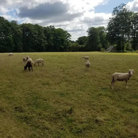 Maison Au Calme Dans La Prairie De La Terre D'or *